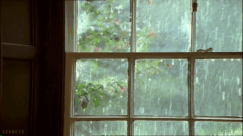 暴雨天！你家的门窗扛得住吗？